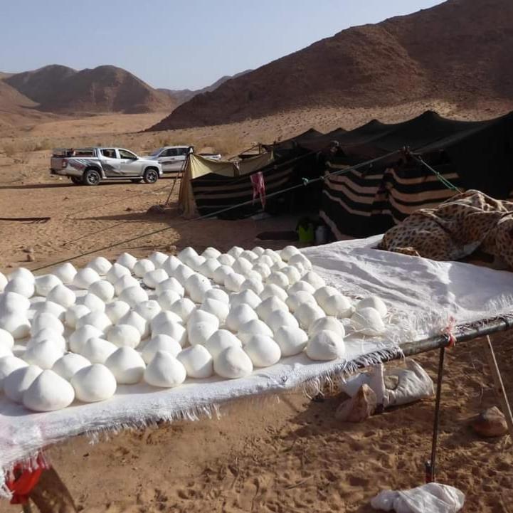Bedouin Family Camp Hotell Wadi Rum Eksteriør bilde