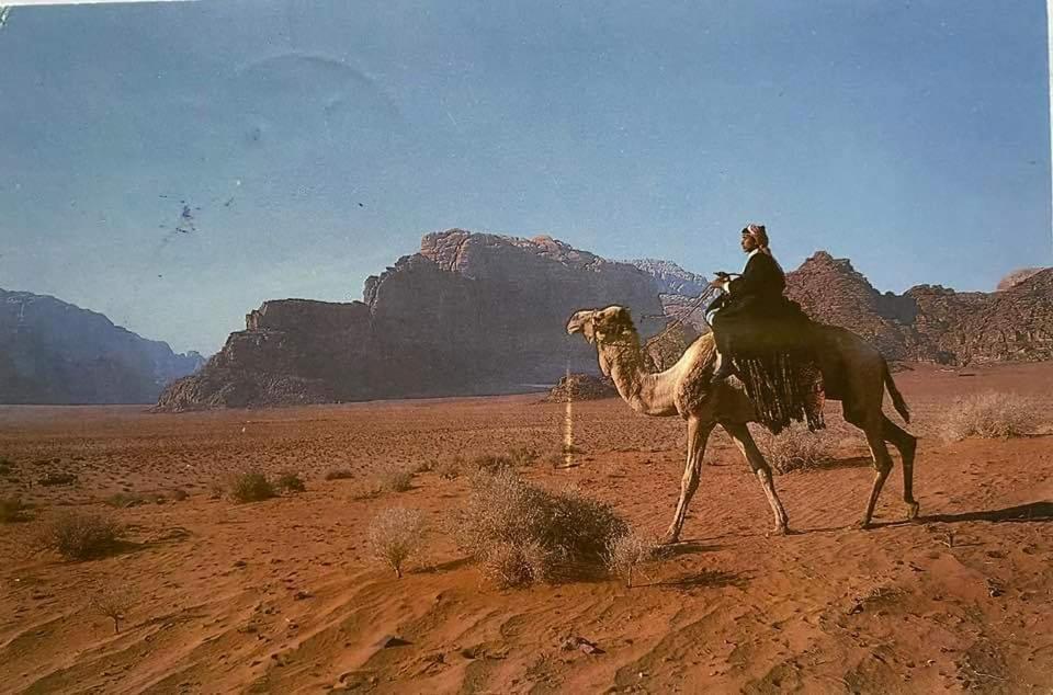 Bedouin Family Camp Hotell Wadi Rum Eksteriør bilde